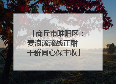 商丘市睢阳区：麦浪滚滚战正酣 干群同心保丰收